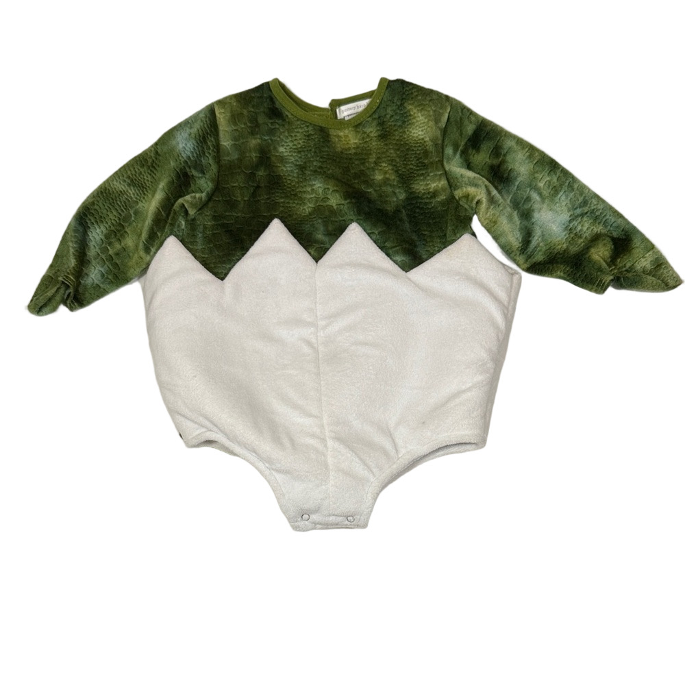 Pottery Barn Kids Green and White Baby Dinosaur Onesie SKU1087